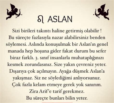 Aslan Burcu Erkeği ile Seyahat Rehberi